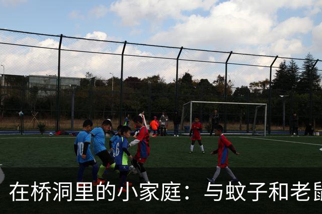 在桥洞里的小家庭：与蚊子和老鼠同居的十年奇遇记